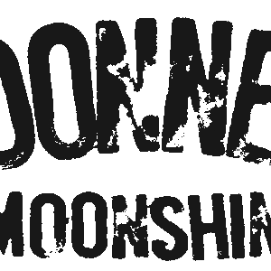 O`Donnell Wilde Beere 350ml